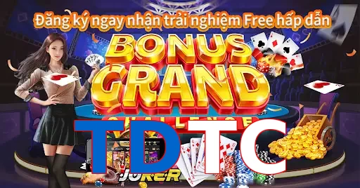 TDTC